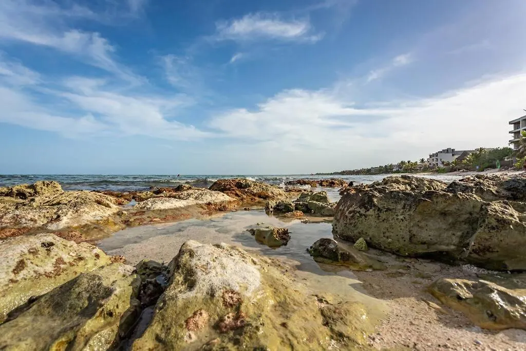 Bahia Tankah 52 Beach Front By Uniko Tulum